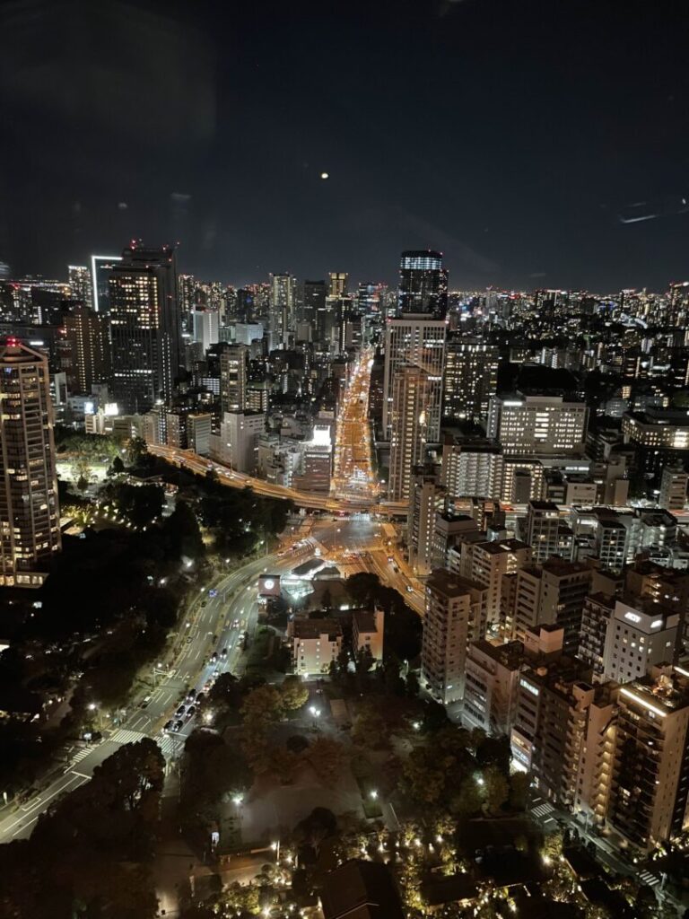 Night View from Tokyo Tower