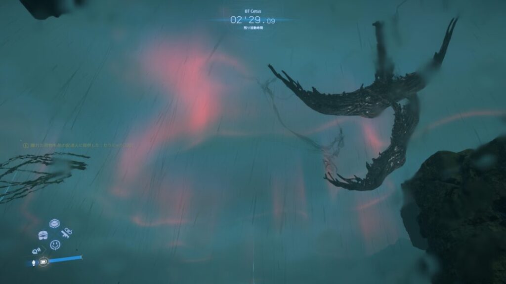 Ray-type（Raia） 【Death Stranding2 / DS2】