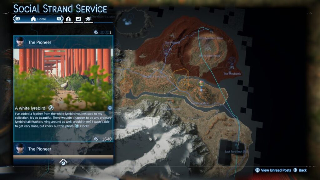 Trophies List & Guide albino Lyrebird Location【 Death Stranding2 / DS2 】