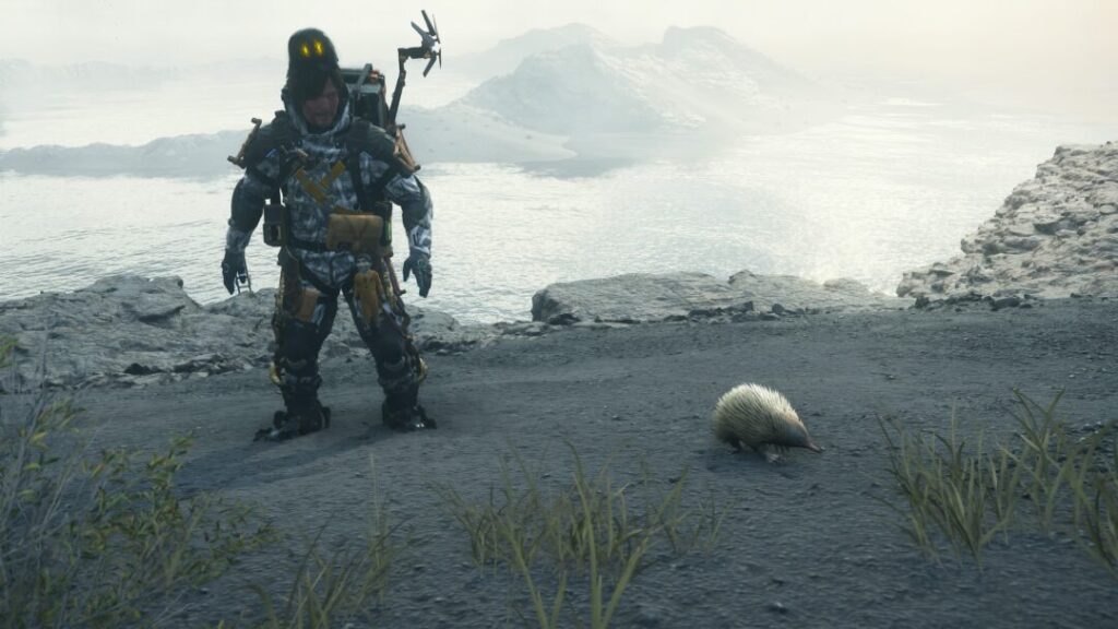 動物全10種の捕獲場所 白いハリモグラと撮影【デススト2 / デスストランディング2 / Death Stranding2】