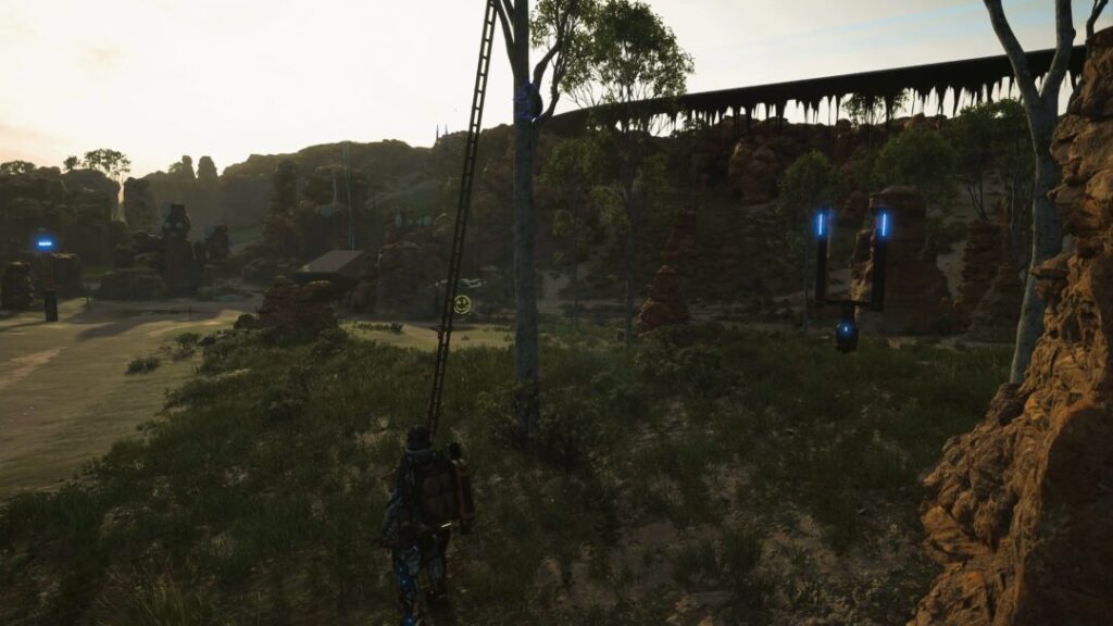 動物全10種の捕獲場所  木の上のコアラ フィールド上【デススト2 / デスストランディング2 / Death Stranding2】