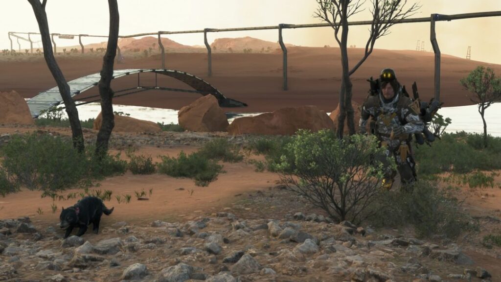 動物全10種の捕獲場所  タスマニアデビル フィールド上【デススト2 / デスストランディング2 / Death Stranding2】