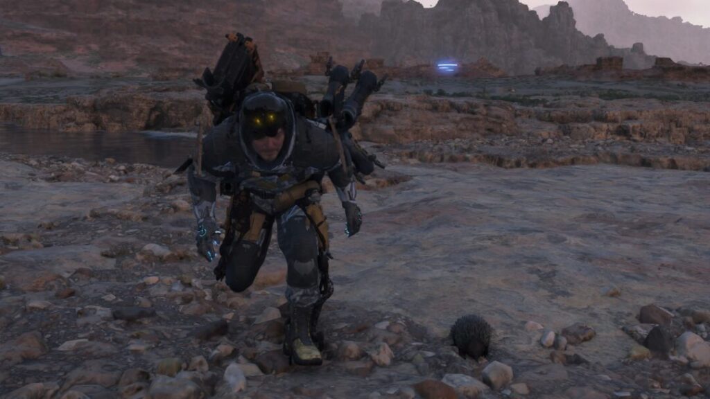 動物全10種の捕獲場所  ハリモグラ フィールド上【デススト2 / デスストランディング2 / Death Stranding2】