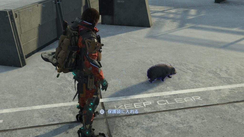動物全10種の捕獲場所 ウォンバットと撮影【デススト2 / デスストランディング2 / Death Stranding2】