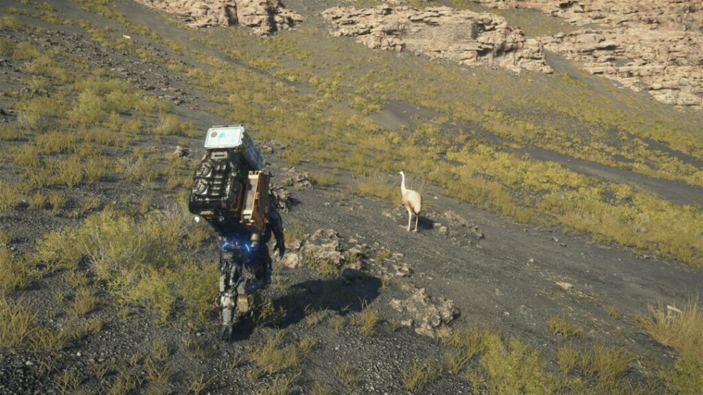 全10種!白いアルビノ希少動物の捕獲場所 エミューとの写真 【デススト2 / デスストランディング2 / Death Stranding2】