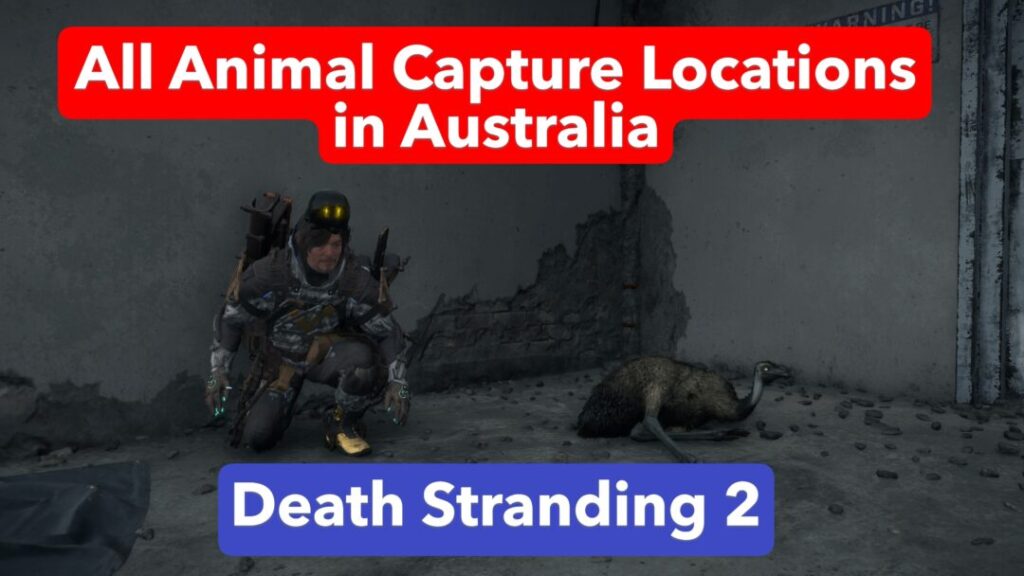 All Animal Capture Locations in Australia【 Death Stranding2 / DS2 】