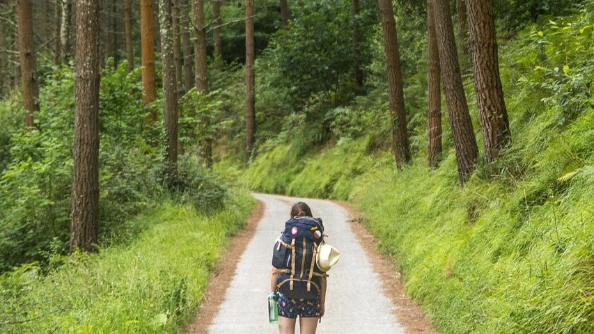 旅行先の花粉症対策おすすめグッズ5選|外出先でも快適に過ごすコツ 旅先の森